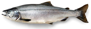 Wild Pink Salmon