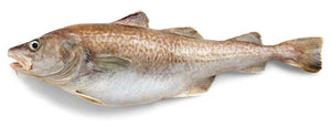 Wild Alaskan Cod
