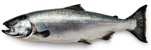Wild Chinook 'King' Salmon (Premium Member)